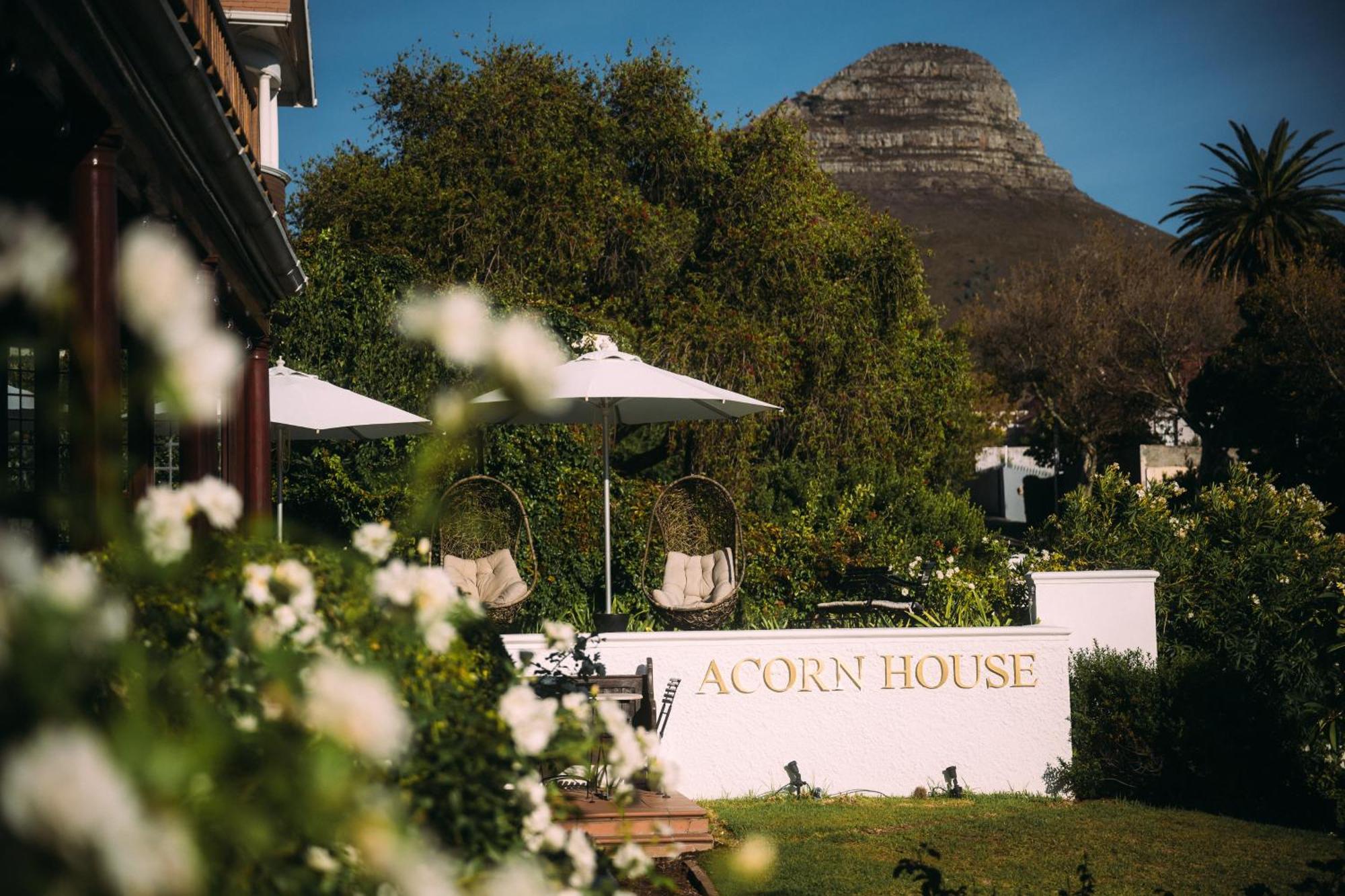 케이프타운 Acorn House B&B 외부 사진